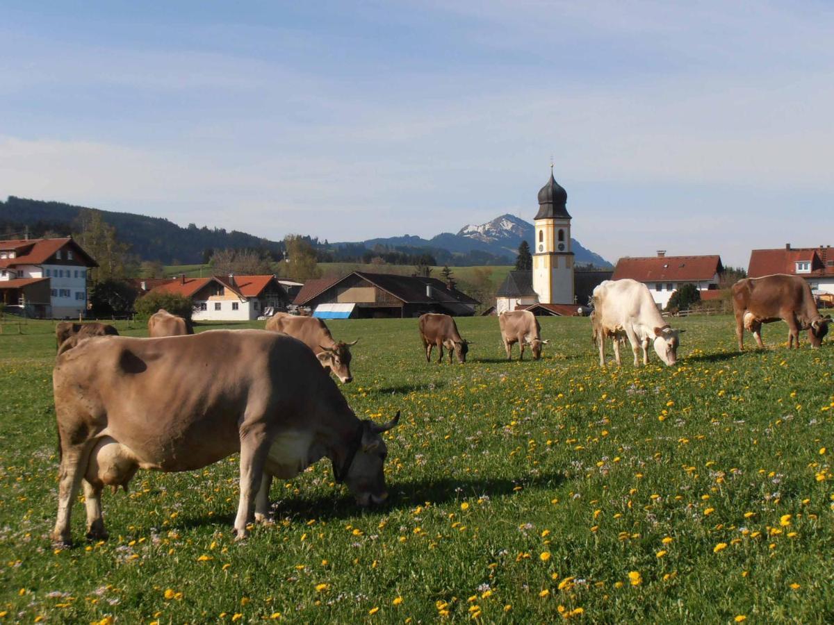 Fewo Herp Oy-Mittelberg Exteriör bild